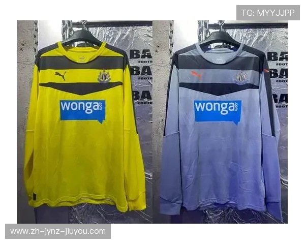 2017年英超球衣品牌分布及市场占有率